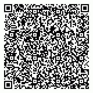 vCard 78125003385