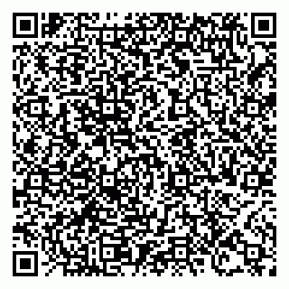 vCard 78125003387
