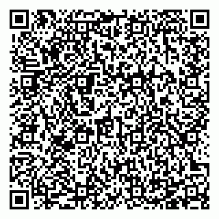 vCard 78125003389