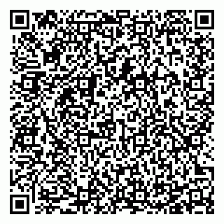 vCard 78125003392
