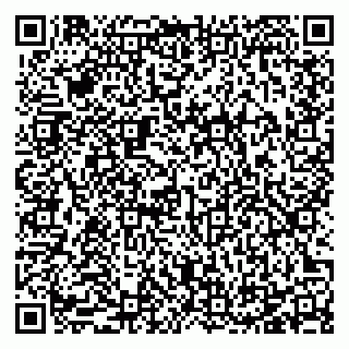 vCard 78125003393