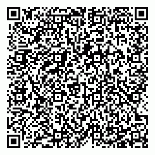 vCard 78125011004