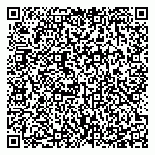 vCard 78125011029