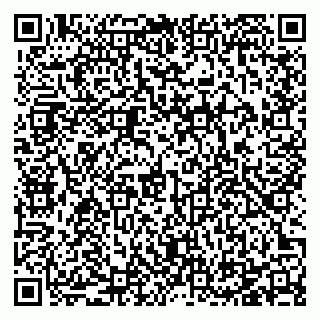 vCard 78125011033