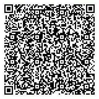 vCard 78125011035