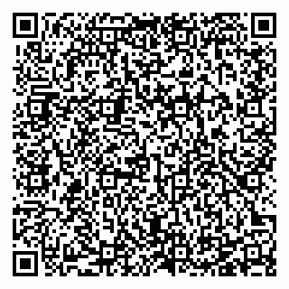 vCard 78125011081