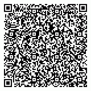 vCard 78125011111