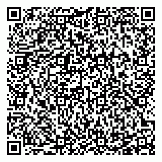 vCard 78125011251