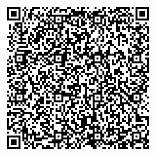 vCard 78125011381