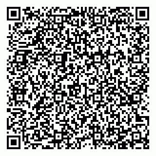 vCard 78125417133