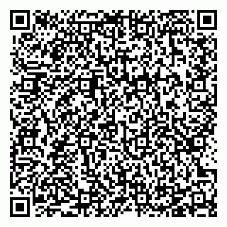 vCard 78125417188
