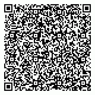 vCard 78125417281