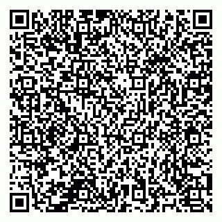 vCard 78125417375
