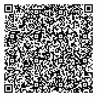 vCard 78125417381