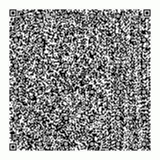 vCard 78125429070
