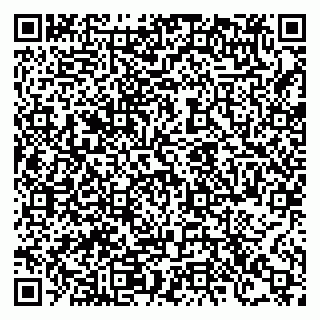 vCard 78126002039
