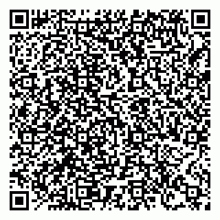 vCard 78126003029