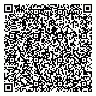 vCard 78126003941