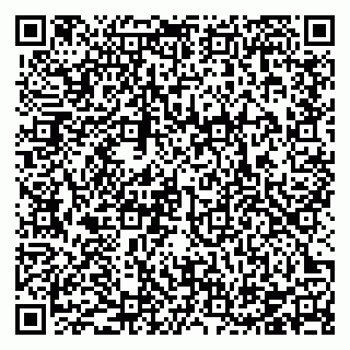 vCard 78126100160