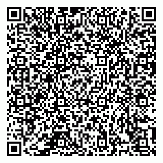 vCard 78126100333