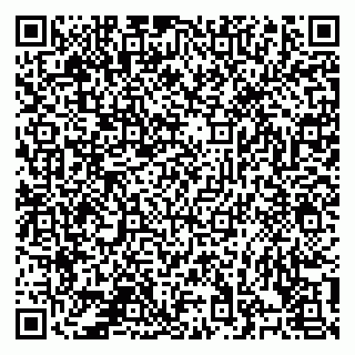 vCard 78126141300