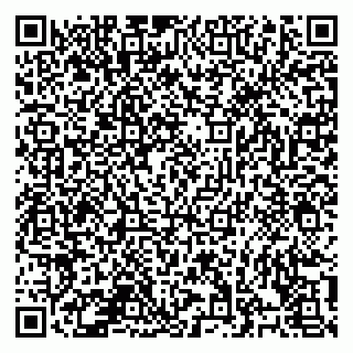 vCard 78126141381