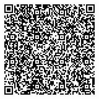 vCard 78126229384
