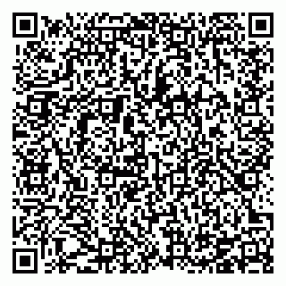vCard 78126295329