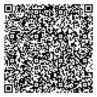 vCard 78126295744