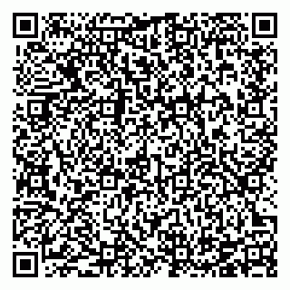 vCard 78126333400