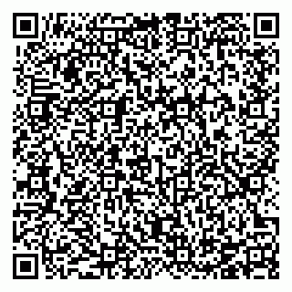 vCard 78126333411
