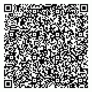 vCard 78126333413