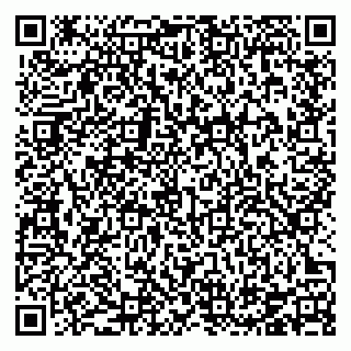 vCard 78126333440