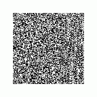 vCard 78126333500