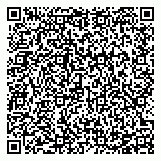 vCard 78126333541