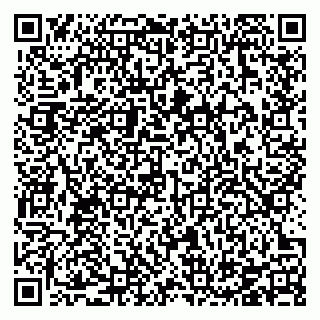 vCard 78126333568