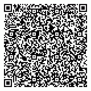 vCard 78126333696