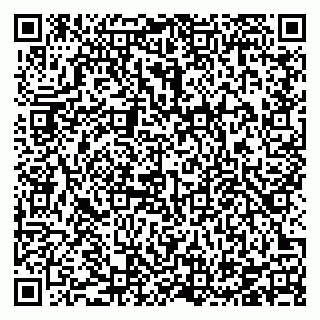 vCard 78126355381
