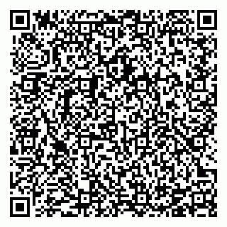 vCard 78126355392
