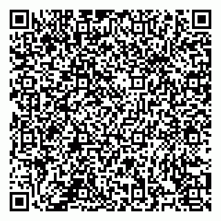 vCard 78126400413