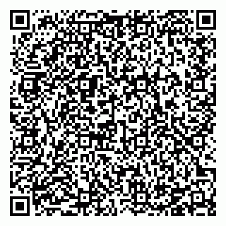 vCard 78126400493