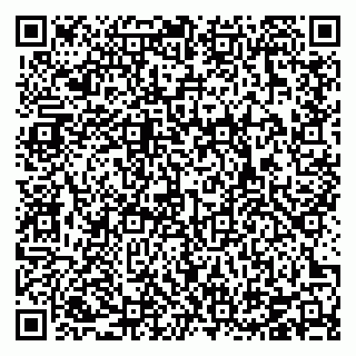 vCard 78126408768