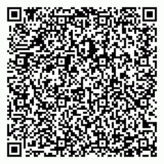 vCard 78126409003