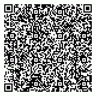 vCard 78126409028