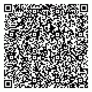 vCard 78126409041