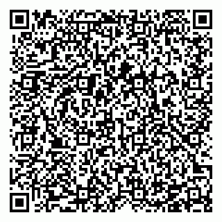 vCard 78126410313