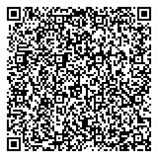 vCard 78126413933