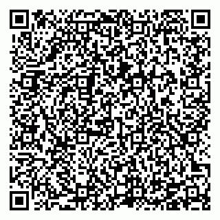 vCard 78126413981