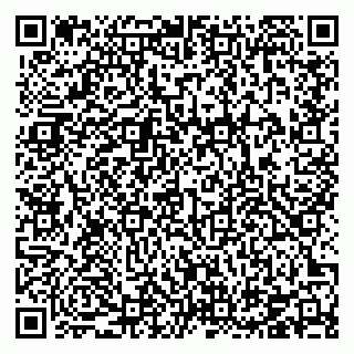 vCard 78126414031