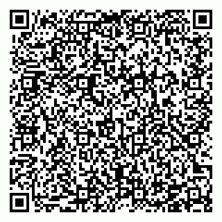 vCard 78126414033
